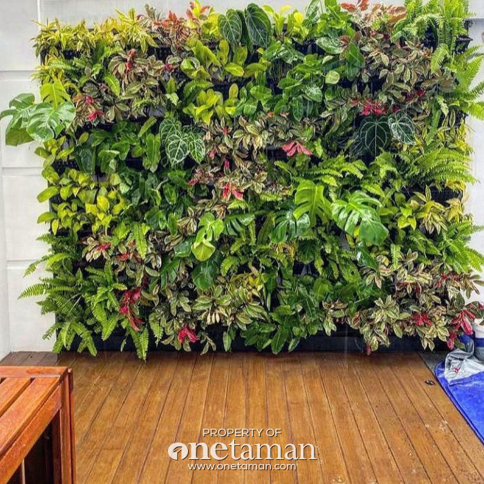 Jasa Vertical Garden Jakarta