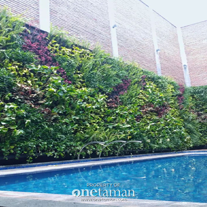 Jasa Vertical Garden BSD