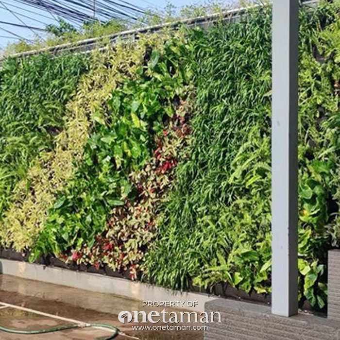Jasa Vertical Garden Bogor